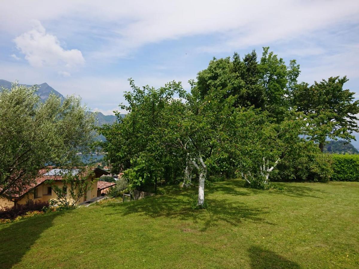 Villa Primula Bellagio Exteriör bild